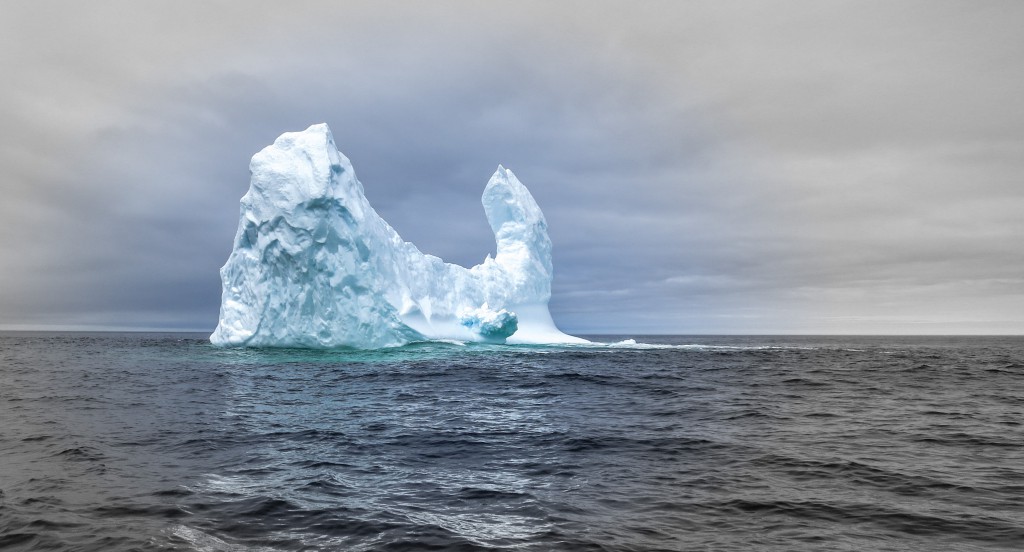 iceberg (1 of 1)